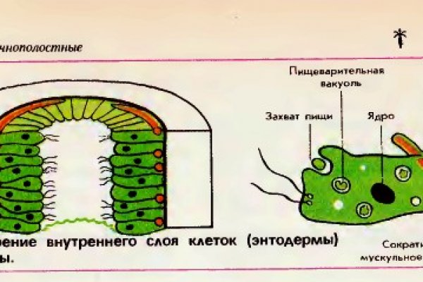 Активная ссылка на кракен