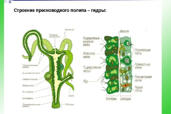 Кракен сайт вход официальный зеркало