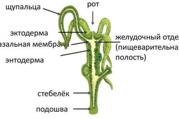 Кракен маркет свежие ссылки